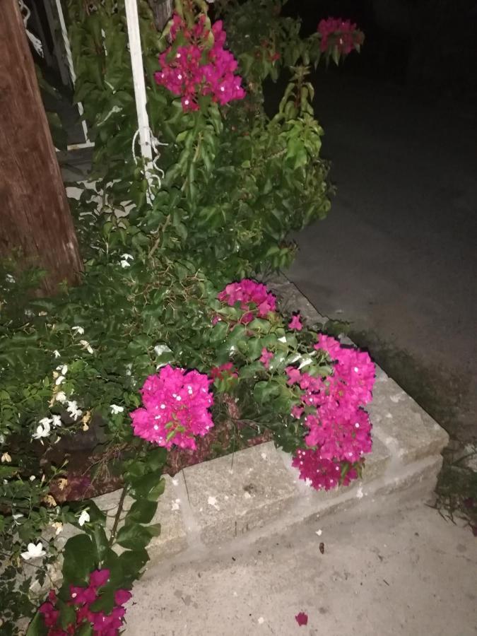 Очарователно самостоятелно студио на о.Амулиани Амолиани Экстерьер фото
